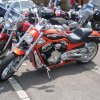Harley-029
