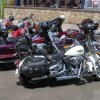 Harley-033
