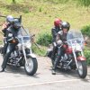 Harley-085