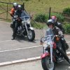 Harley-086