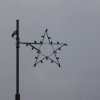Staeren2006-09