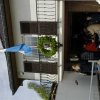 2008_1.Mai_063