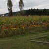 2009_Ausfluch_57