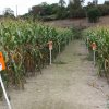 2009_Ausfluch_58