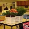 2009-BlummeCoursMars-03