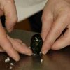 2009-KachCoursSushi-42