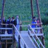 Mais-BluesOwend-13