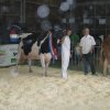 Hierschtfest_24