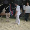 Hierschtfest_27