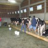 Hierschtfest_29