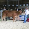 Hierschtfest_35