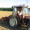 Mais-Preparativen-24