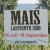 Mais-Preparativen-47