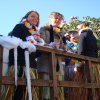 2011-Kavalkade-Dikerech-50