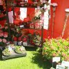 Kiermes_038