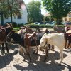 Kiermes_040