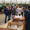 hierschtfest2013_40