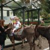 kiermes_057