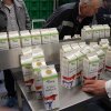 komiteesiessen2_2013_08