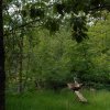 dondeieren_03